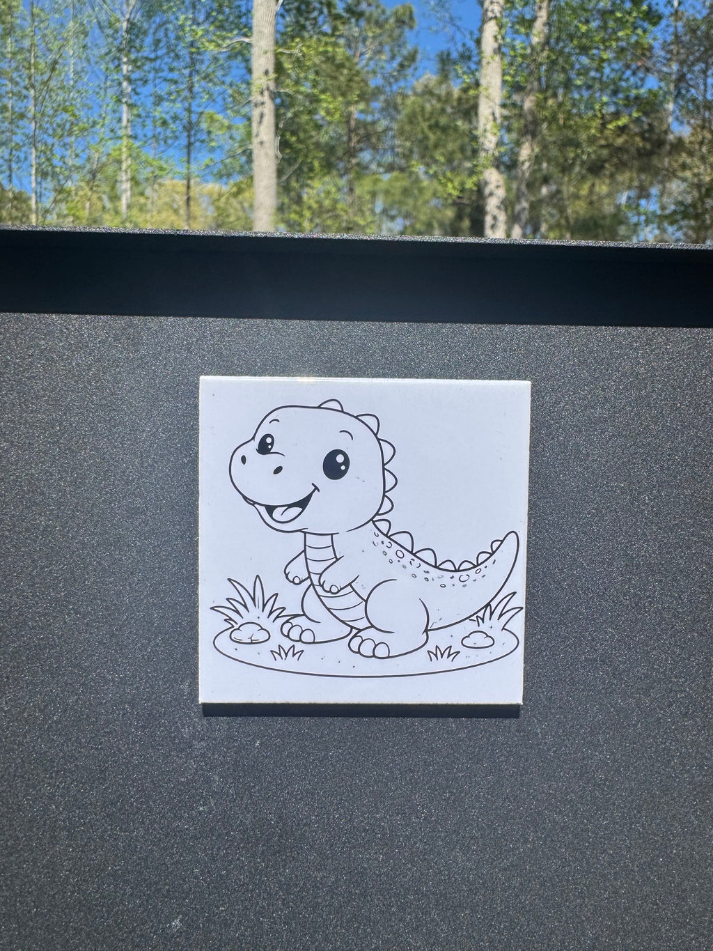 Coloring Magnets