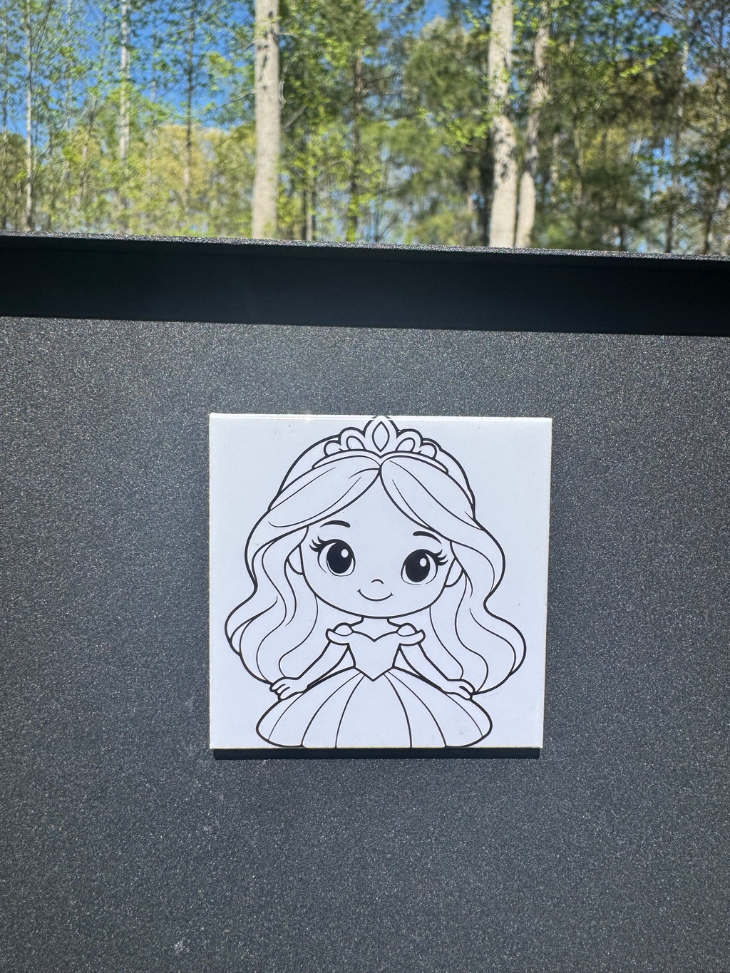 Coloring Magnets