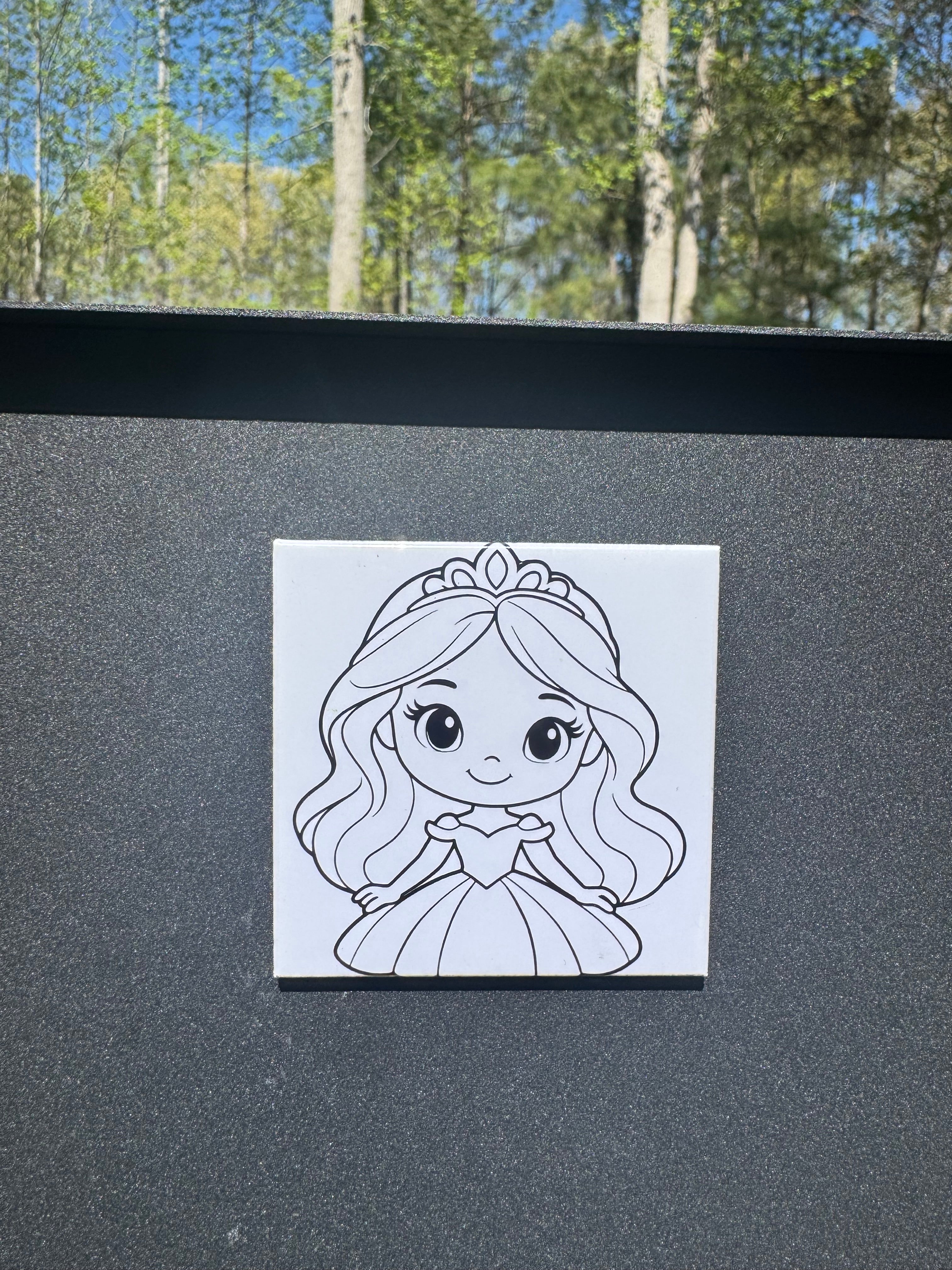 Coloring Magnets